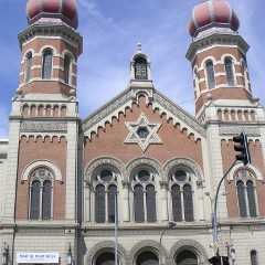 Synagogue-240x240